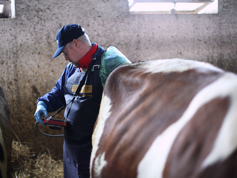 Ultrasuoni veterinari portatili draminski iscan 2 bovino